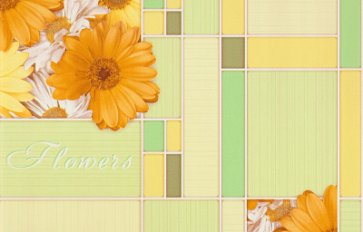 Брянские Обои Герберы  мойка 5 С1БР-ГП